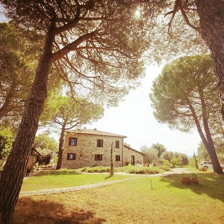 La Bertinora Bed and Breakfast Villa Verucchio Eksteriør billede